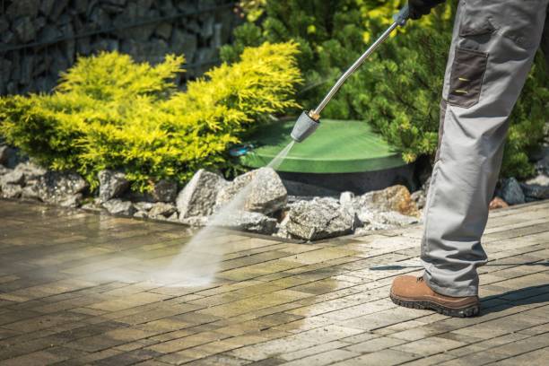 Best Pre-Holiday Cleaning  in Howard City, MI