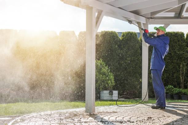Best Rust Removal  in Howard City, MI