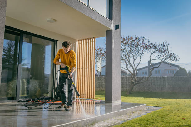 Best Boat and Dock Cleaning  in Howard City, MI