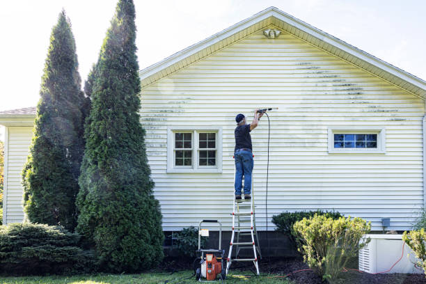 Best Dumpster Area Cleaning  in Howard City, MI