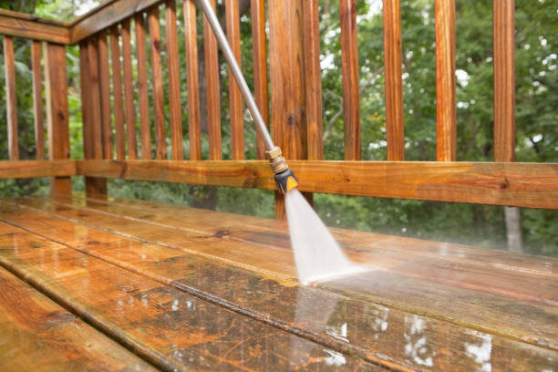 Best Solar Panel Cleaning  in Howard City, MI